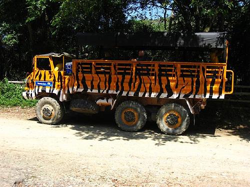 Tiger Painted Tour Truck